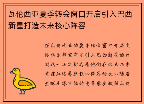瓦伦西亚夏季转会窗口开启引入巴西新星打造未来核心阵容
