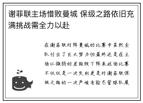 谢菲联主场惜败曼城 保级之路依旧充满挑战需全力以赴